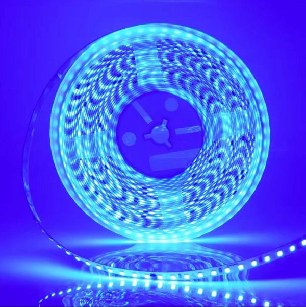 Led лента  220-2835-120-NW 220В IP68 Синяя